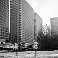 A Concrete Perspective of San Francisco